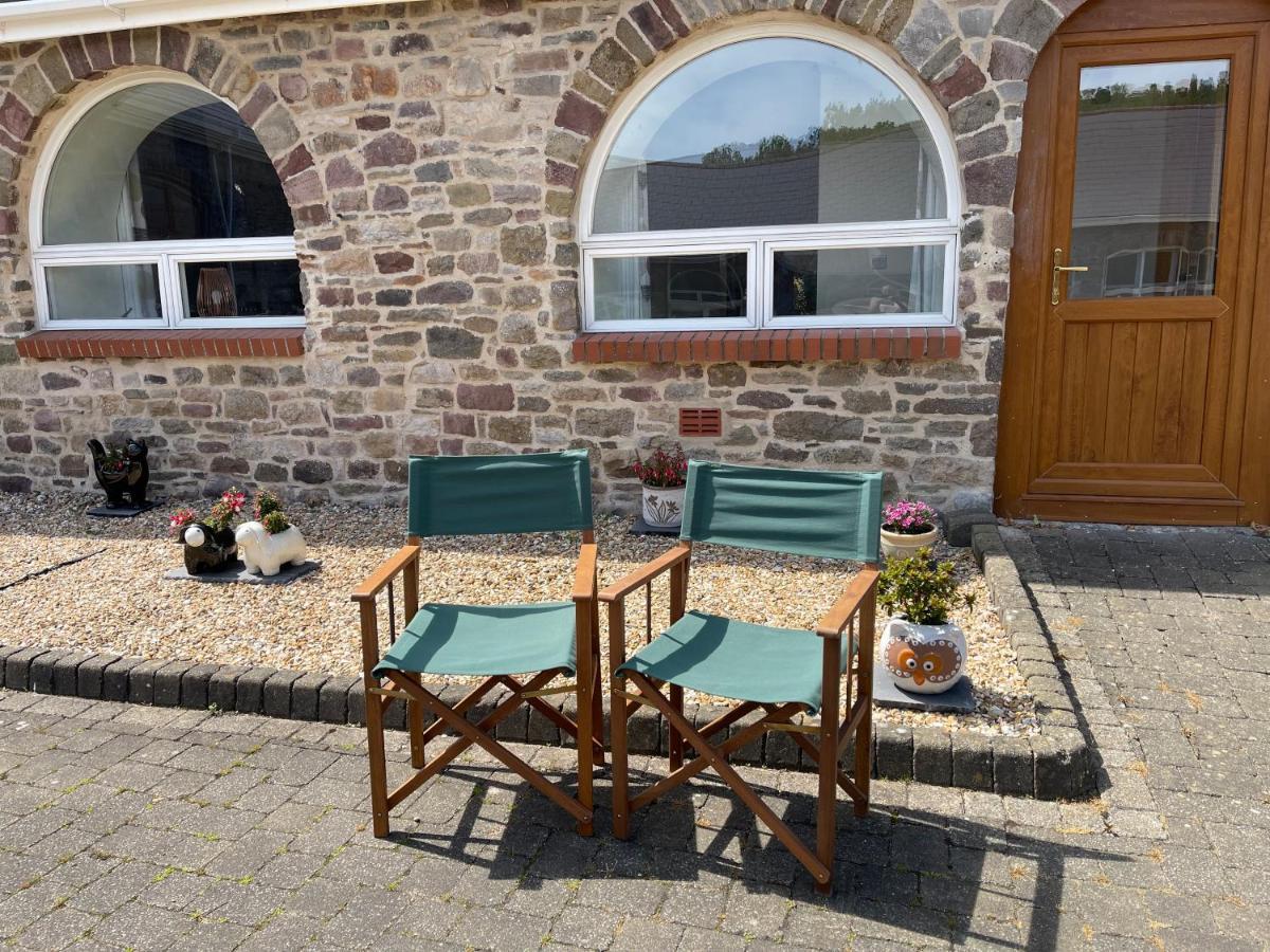 Red Kite Barn Villa Ammanford Dış mekan fotoğraf