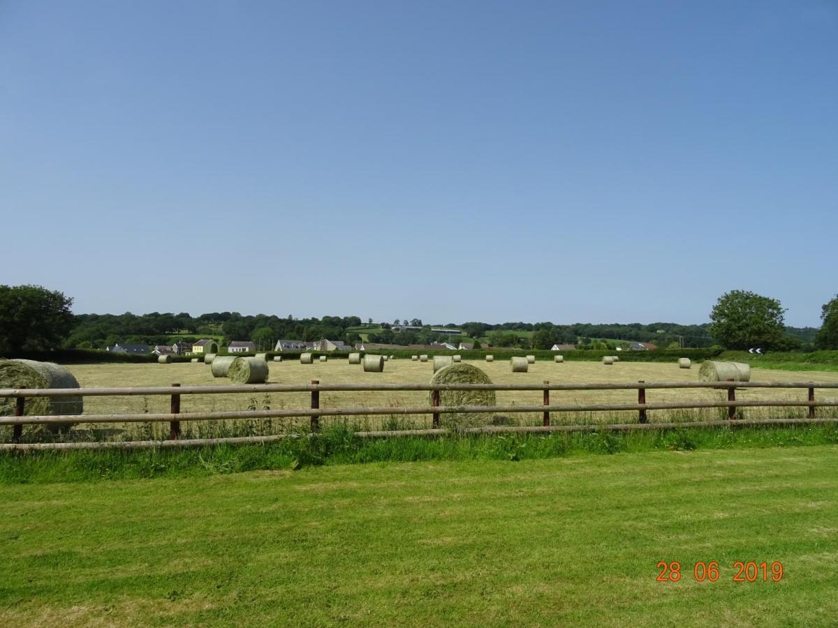 Red Kite Barn Villa Ammanford Dış mekan fotoğraf